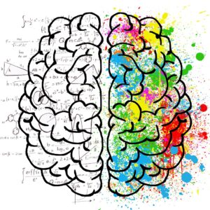 brain-2062055_1920 brain-2062055_1920